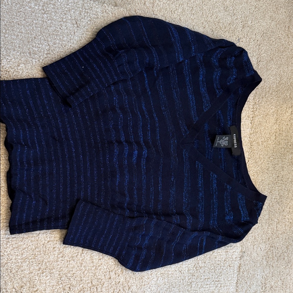 Express Navy and Blue Striped Blouse
